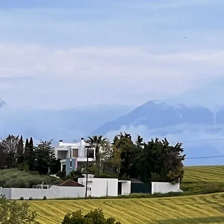 Apartmán Modern House Ancient Pydna *